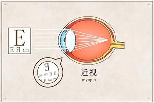 米兰老板谈伊布：当我在美国时，伊布就像是我在米兰的代言人